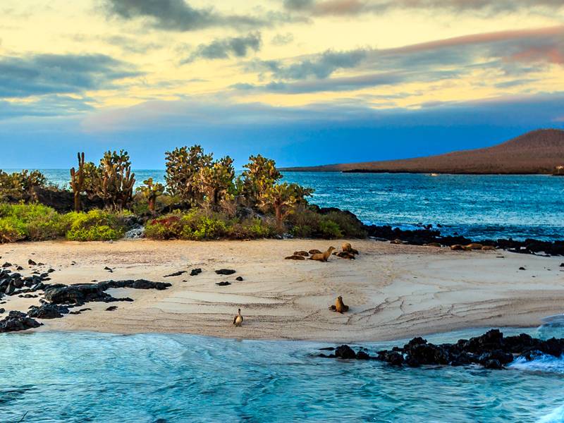 Galapagos-country-homepage-carousel-image-327101479561842_crop_800_600